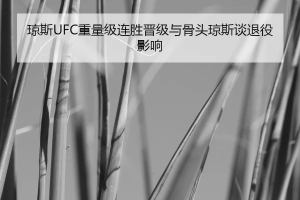 琼斯UFC重量级连胜晋级与骨头琼斯谈退役影响